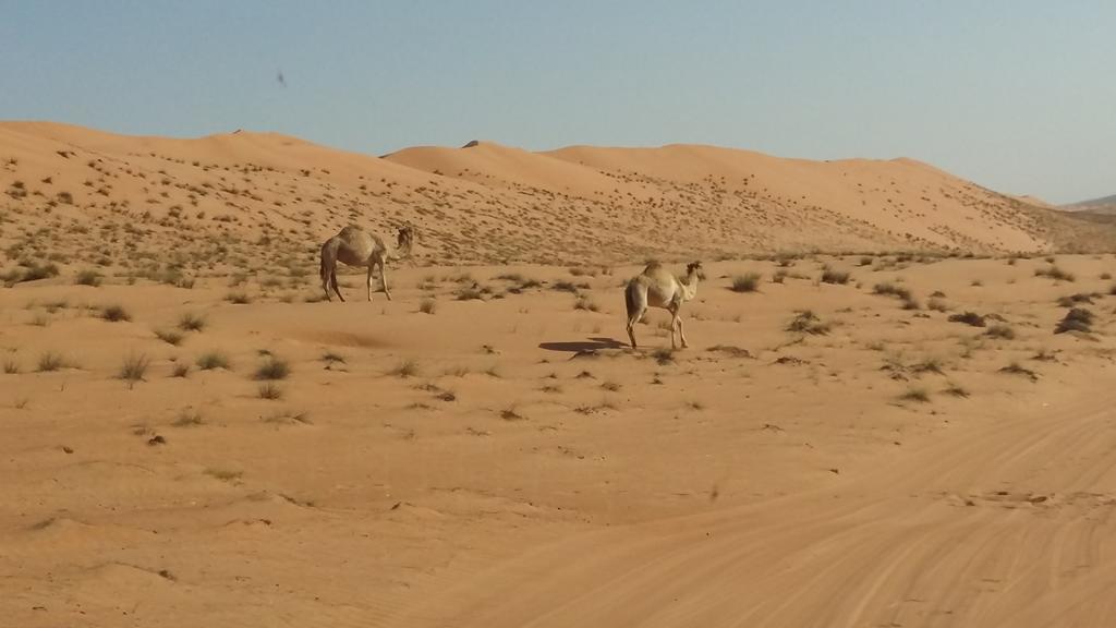 Ḩawīyah Silent Dunes Camp酒店 外观 照片